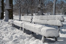 Central Park in NYC after a snowstorm