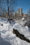 Central Park after a snowstorm