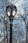 Central Park after a snowstorm