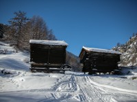 Tracks to the restaurant(s)