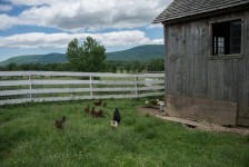 Shaker Village - at the farm