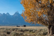 Mormon Barn in the Teton Valley