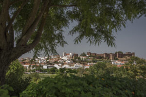 Town of Silves.