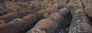 "Green roof".