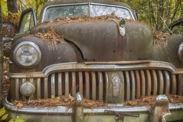 Hood ornament De Soto