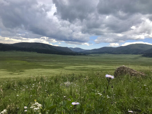 Valles Caldera