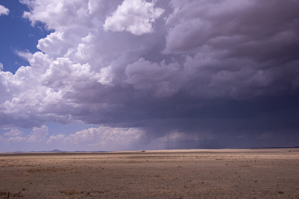 High desert in NM